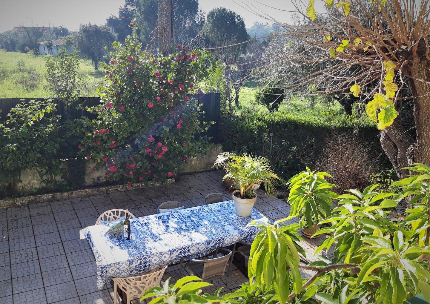 Casa Azul Tomar Prive Vakantiehuis Ngoại thất bức ảnh