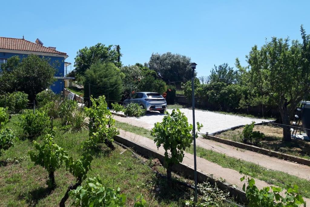 Casa Azul Tomar Prive Vakantiehuis Ngoại thất bức ảnh